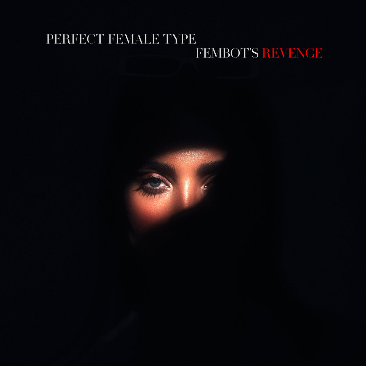 Perfect Female Type "Fembot's Revenge" cover art